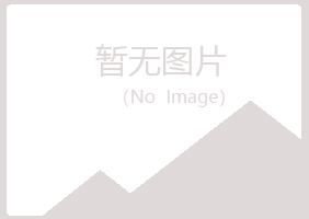 鹤岗兴山纯净化学有限公司